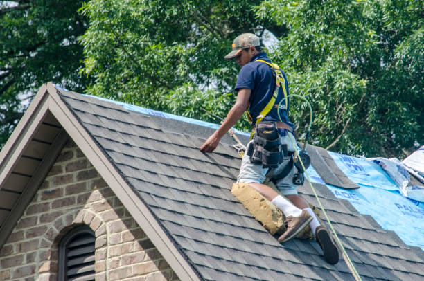 Quick and Trustworthy Emergency Roof Repair Services in Bloomington, IN